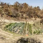 Κατάλυμα σε φάρμα Azienda Agrituristica Alcastle *