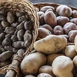 Azienda Agrituristica Alcastle Κατάλυμα σε φάρμα *