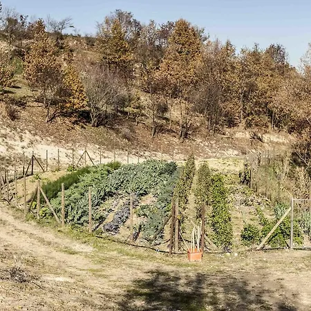 Alojamento de Turismo Rural Azienda Agrituristica Alcastle *