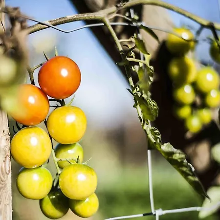 Farm stay Azienda Agrituristica Alcastle *